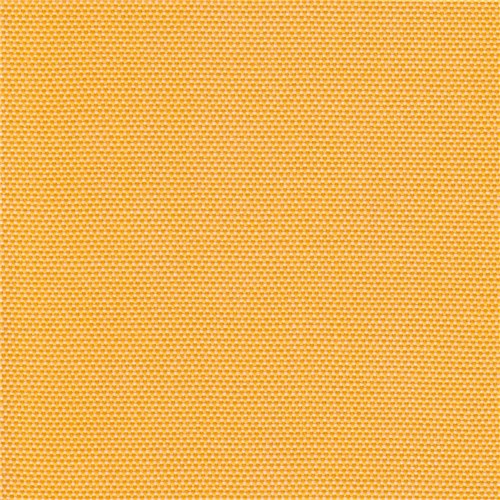 Bliss Collection Panama-1003-Gold